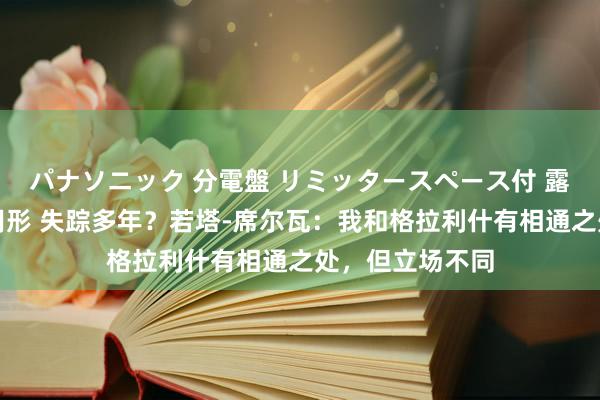 パナソニック 分電盤 リミッタースペース付 露出・半埋込両用形 失踪多年？若塔-席尔瓦：我和格拉利什有相通之处，但立场不同