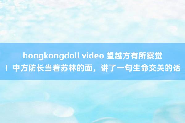 hongkongdoll video 望越方有所察觉!中方防长当着苏林的面,讲了一句生命交关的话