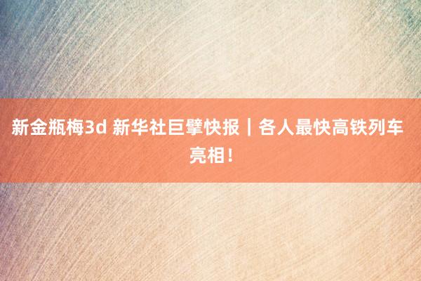 新金瓶梅3d 新华社巨擘快报｜各人最快高铁列车 亮相！