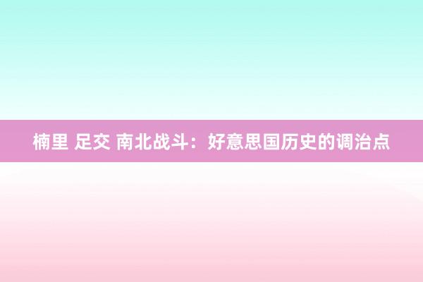 楠里 足交 南北战斗：好意思国历史的调治点