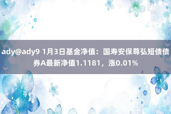 ady@ady9 1月3日基金净值：国寿安保尊弘短债债券A最新净值1.1181，涨0.01%