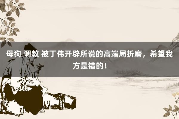 母狗 调教 被丁伟开辟所说的高端局折磨，希望我方是错的！
