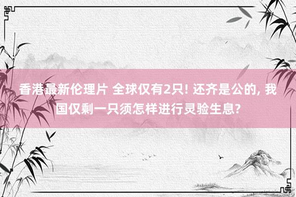 香港最新伦理片 全球仅有2只! 还齐是公的， 我国仅剩一只须怎样进行灵验生息?
