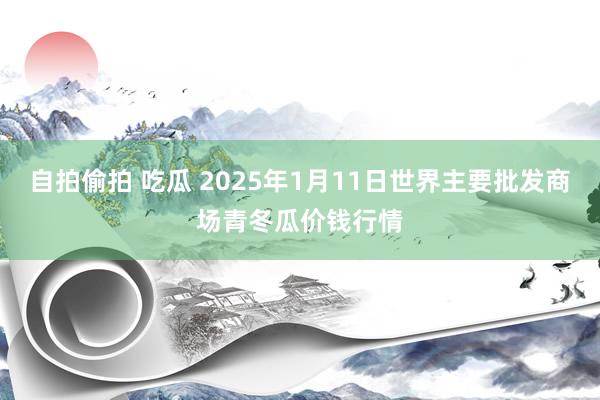 自拍偷拍 吃瓜 2025年1月11日世界主要批发商场青冬瓜价钱行情