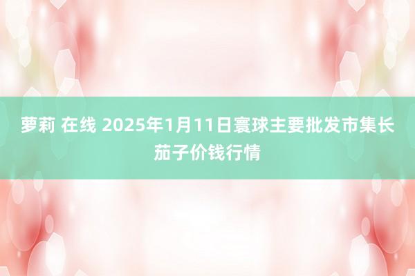 萝莉 在线 2025年1月11日寰球主要批发市集长茄子价钱行情