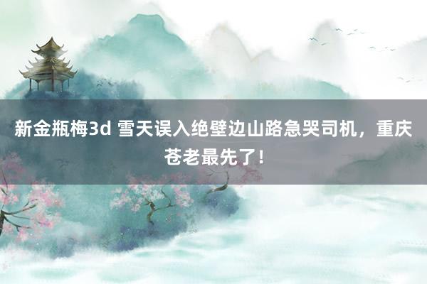 新金瓶梅3d 雪天误入绝壁边山路急哭司机，重庆苍老最先了！