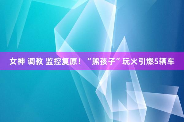 女神 调教 监控复原！“熊孩子”玩火引燃5辆车
