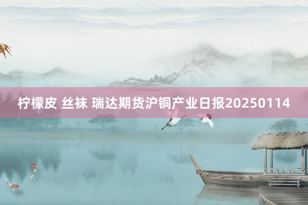 柠檬皮 丝袜 瑞达期货沪铜产业日报20250114