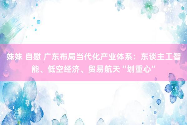 妹妹 自慰 广东布局当代化产业体系：东谈主工智能、低空经济、贸易航天“划重心”