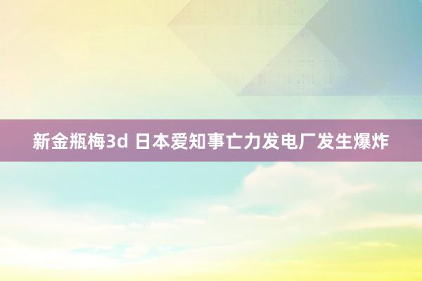 新金瓶梅3d 日本爱知事亡力发电厂发生爆炸