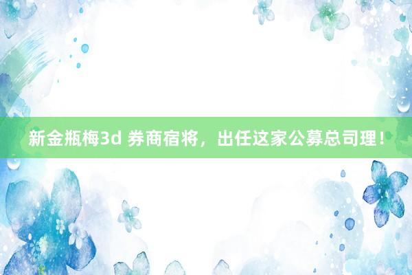 新金瓶梅3d 券商宿将，出任这家公募总司理！