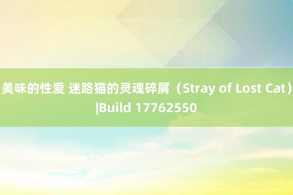 美味的性爱 迷路猫的灵魂碎屑（Stray of Lost Cat）|Build 17762550