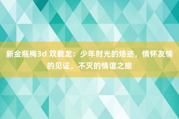 新金瓶梅3d 双截龙：少年时光的烙迹，情怀友情的见证，不灭的情谊之旅