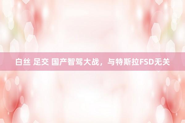 白丝 足交 国产智驾大战，与特斯拉FSD无关