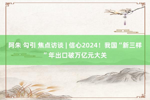 阿朱 勾引 焦点访谈 | 信心2024！我国“新三样”年出口破万亿元大关