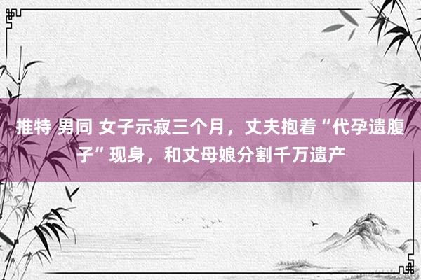 推特 男同 女子示寂三个月，丈夫抱着“代孕遗腹子”现身，和丈母娘分割千万遗产