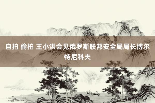 自拍 偷拍 王小洪会见俄罗斯联邦安全局局长博尔特尼科夫