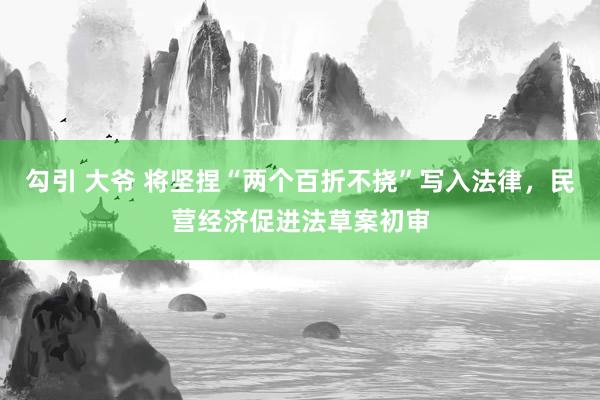 勾引 大爷 将坚捏“两个百折不挠”写入法律，民营经济促进法草案初审