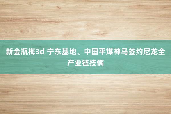 新金瓶梅3d 宁东基地、中国平煤神马签约尼龙全产业链技俩