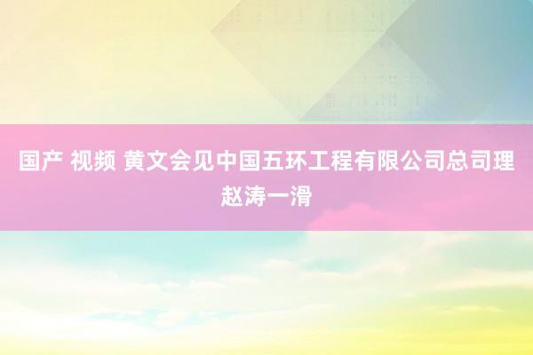 国产 视频 黄文会见中国五环工程有限公司总司理赵涛一滑