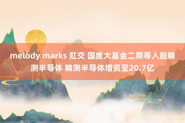 melody marks 肛交 国度大基金二期等入股精测半导体 精测半导体增资至20.7亿