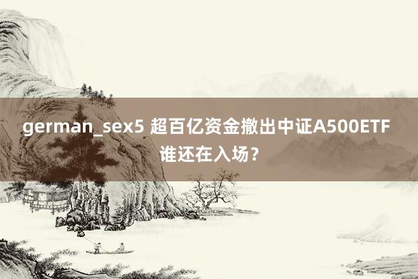 german_sex5 超百亿资金撤出中证A500ETF 谁还在入场？