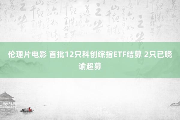伦理片电影 首批12只科创综指ETF结募 2只已晓谕超募