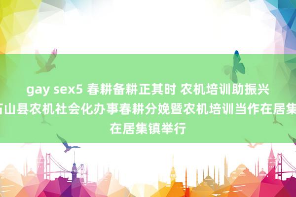 gay sex5 春耕备耕正其时 农机培训助振兴——积石山县农机社会化办事春耕分娩暨农机培训当作在居集镇举行