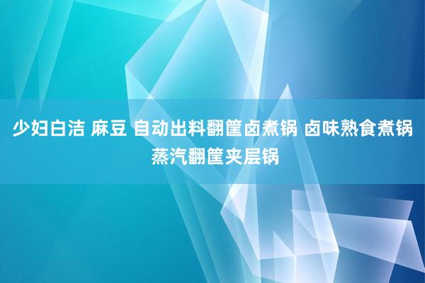 少妇白洁 麻豆 自动出料翻筐卤煮锅 卤味熟食煮锅 蒸汽翻筐夹层锅