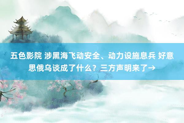 五色影院 涉黑海飞动安全、动力设施息兵 好意思俄乌谈成了什么？三方声明来了→