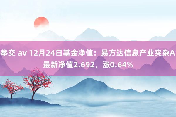 拳交 av 12月24日基金净值：易方达信息产业夹杂A最新净值2.692，涨0.64%