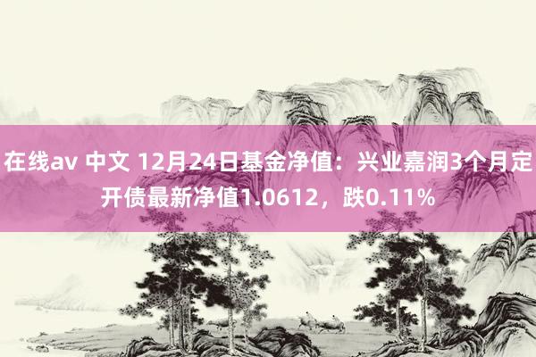 在线av 中文 12月24日基金净值：兴业嘉润3个月定开债最新净值1.0612，跌0.11%