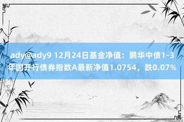 ady@ady9 12月24日基金净值：鹏华中债1-3年国开行债券指数A最新净值1.0754，跌0.07%