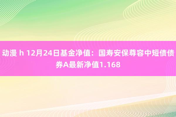 动漫 h 12月24日基金净值：国寿安保尊容中短债债券A最新净值1.168