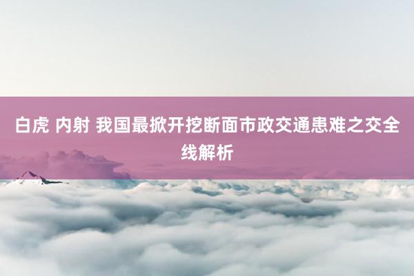 白虎 内射 我国最掀开挖断面市政交通患难之交全线解析