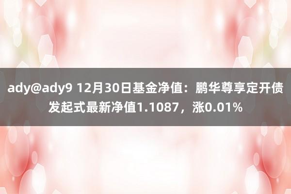 ady@ady9 12月30日基金净值：鹏华尊享定开债发起式最新净值1.1087，涨0.01%