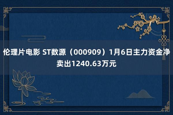伦理片电影 ST数源（000909）1月6日主力资金净卖出1240.63万元