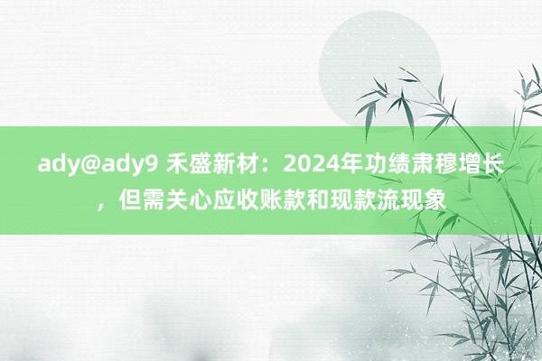 ady@ady9 禾盛新材：2024年功绩肃穆增长，但需关心应收账款和现款流现象
