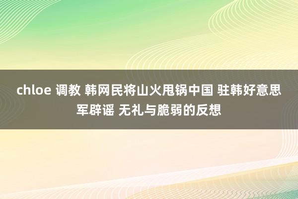 chloe 调教 韩网民将山火甩锅中国 驻韩好意思军辟谣 无礼与脆弱的反想
