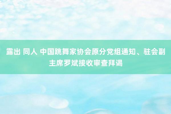 露出 同人 中国跳舞家协会原分党组通知、驻会副主席罗斌接收审查拜谒