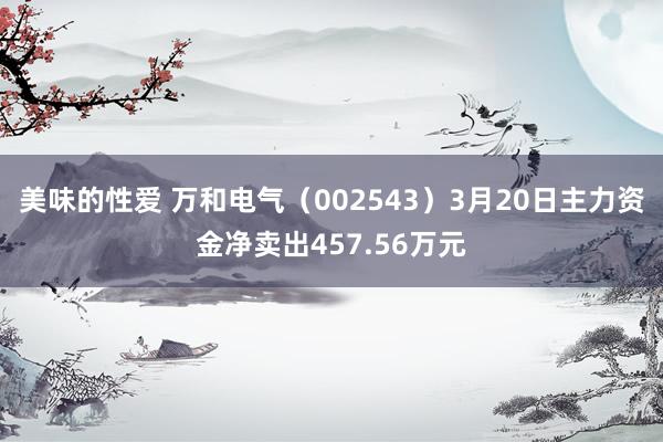 美味的性爱 万和电气（002543）3月20日主力资金净卖出457.56万元