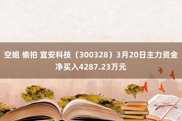 空姐 偷拍 宜安科技（300328）3月20日主力资金净买入4287.23万元