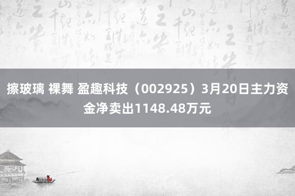 擦玻璃 裸舞 盈趣科技（002925）3月20日主力资金净卖出1148.48万元