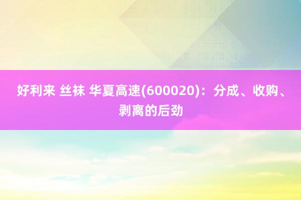 好利来 丝袜 华夏高速(600020)：分成、收购、剥离的后劲
