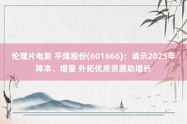 伦理片电影 平煤股份(601666)：请示2025年降本、增量 外拓优质资源助增长