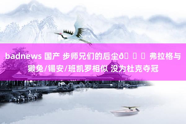 badnews 国产 步师兄们的后尘😅弗拉格与獭兔/锡安/班凯罗相似 没为杜克夺冠