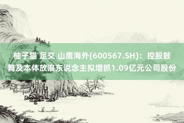 柚子猫 足交 山鹰海外(600567.SH)：控股鼓舞及本体放浪东说念主拟增抓1.09亿元公司股份