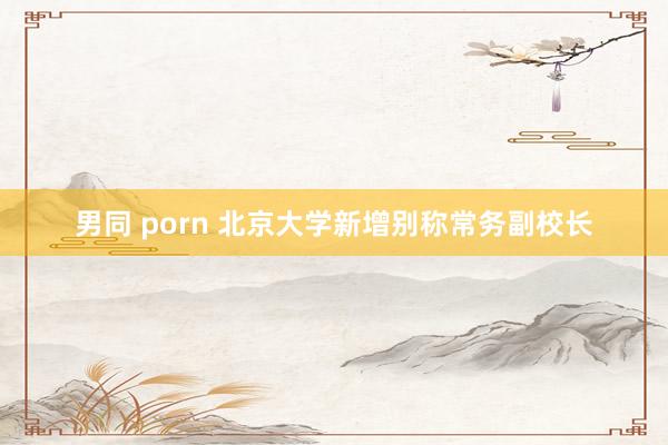 男同 porn 北京大学新增别称常务副校长