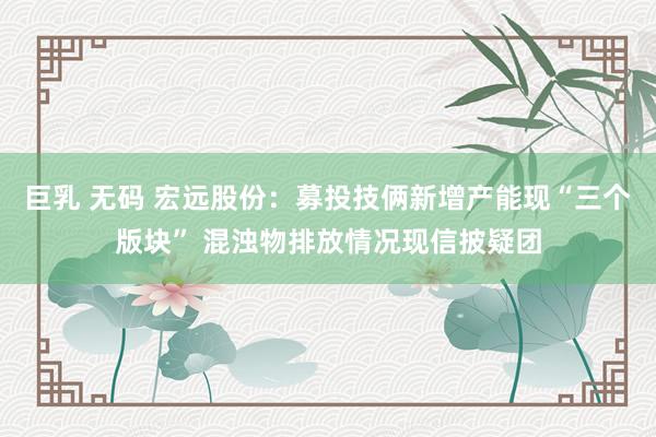 巨乳 无码 宏远股份：募投技俩新增产能现“三个版块” 混浊物排放情况现信披疑团
