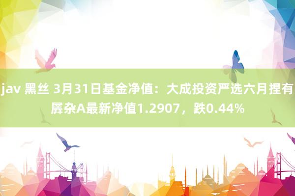 jav 黑丝 3月31日基金净值：大成投资严选六月捏有羼杂A最新净值1.2907，跌0.44%